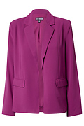 Long Sleeve Blazer